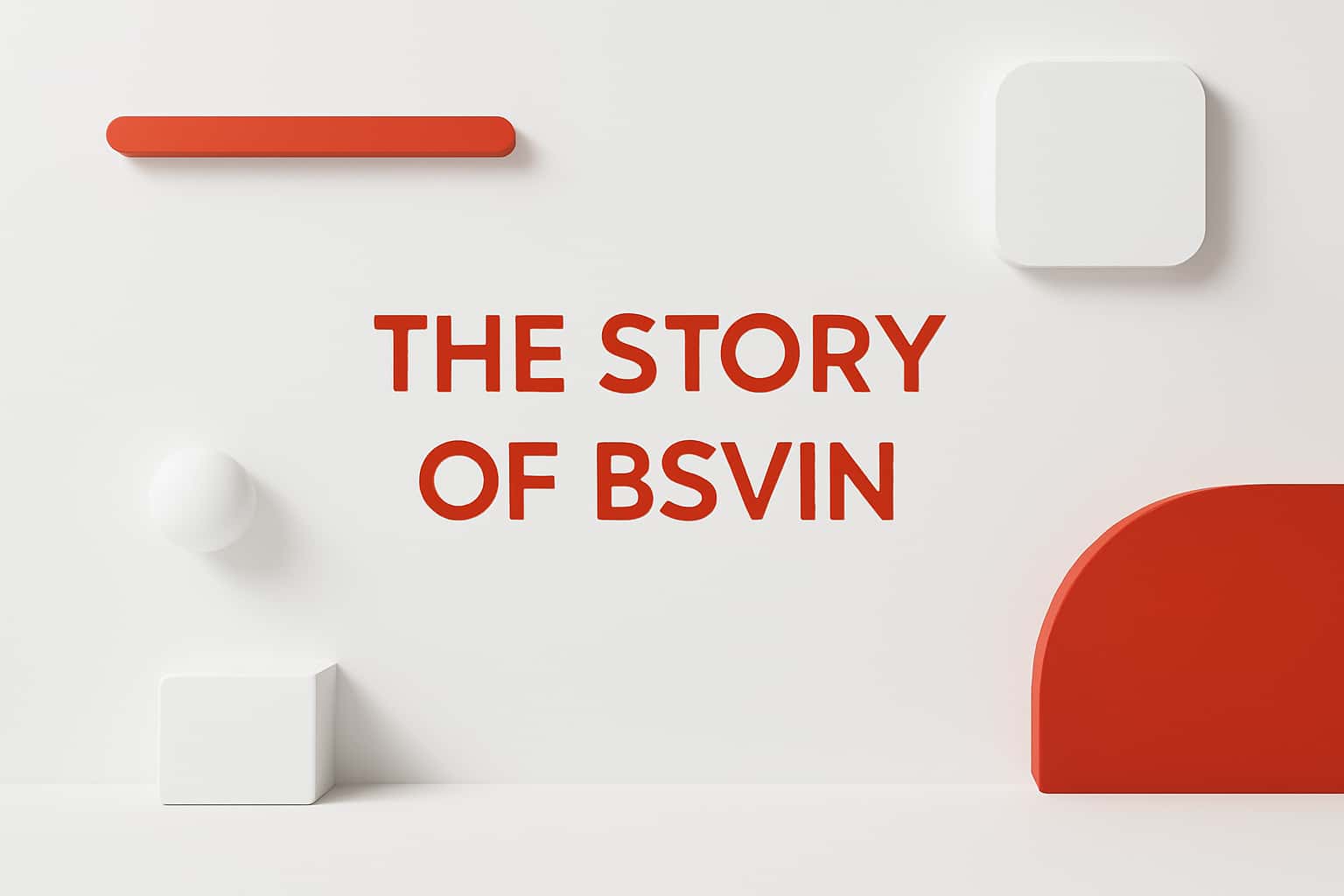 The Story of Bsvin Interface